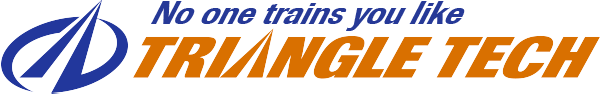 Triangle Tech