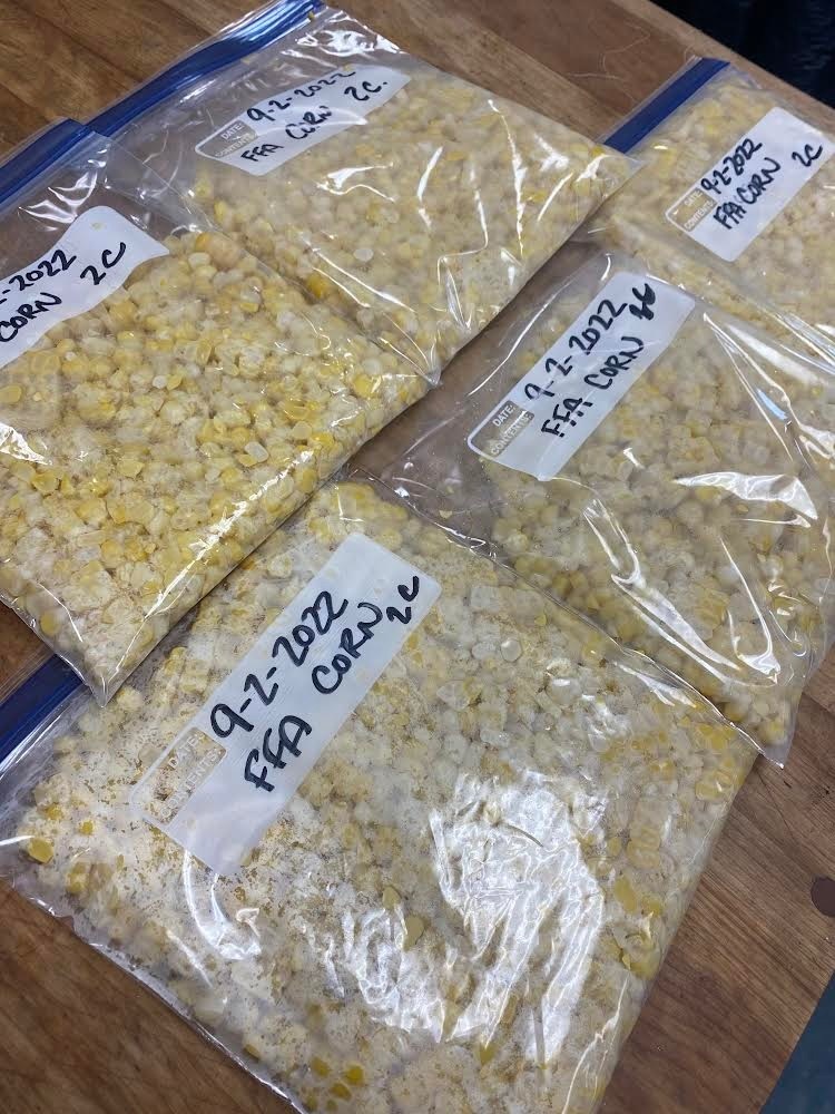 freezing corn